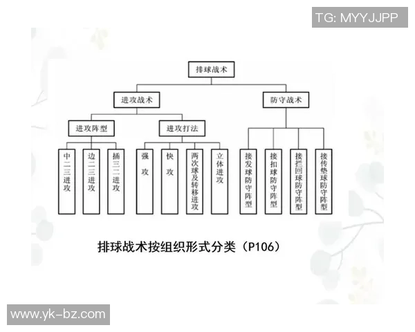 排球新手必看：从基础到战术的全面入门攻略与技巧分享