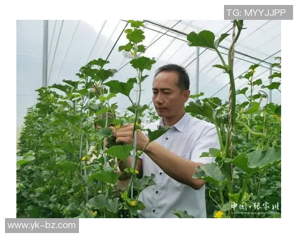 李强专访：从青涩少年到网球巨星的奋斗与成长之路